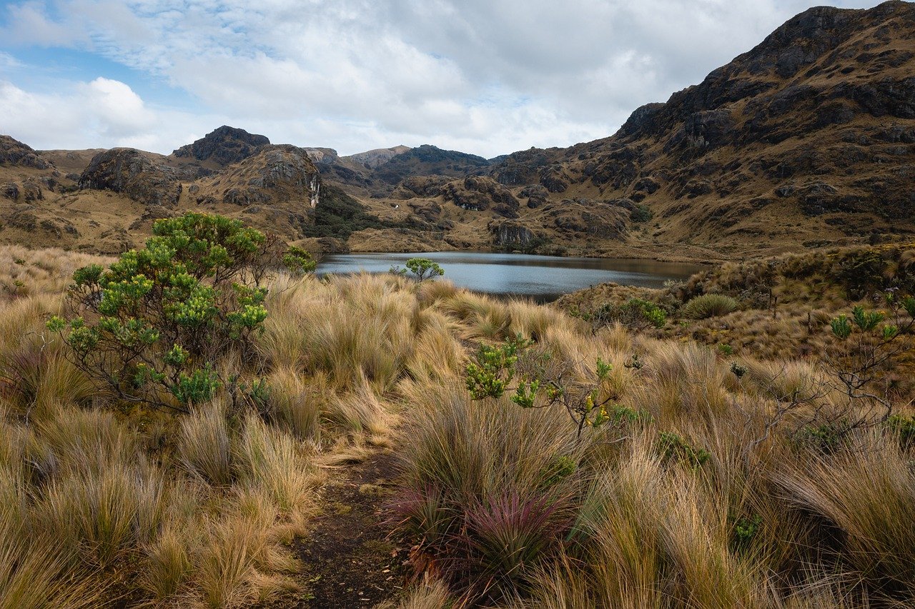 lake, wetland, mountains